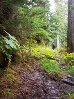 Hiking Hobson Trail at Silvertip lodge