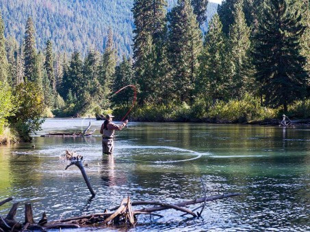 Fly fishing on the Mitchell River at Silvertip lodge