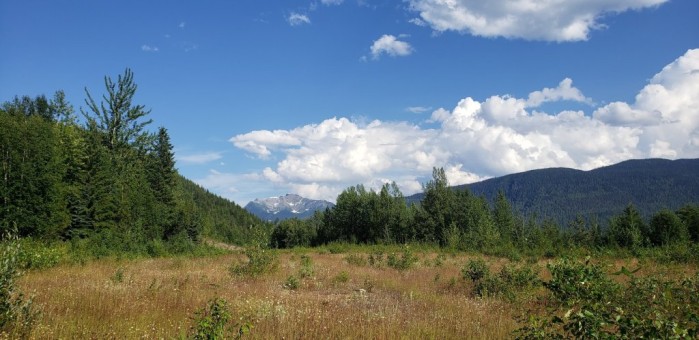 field